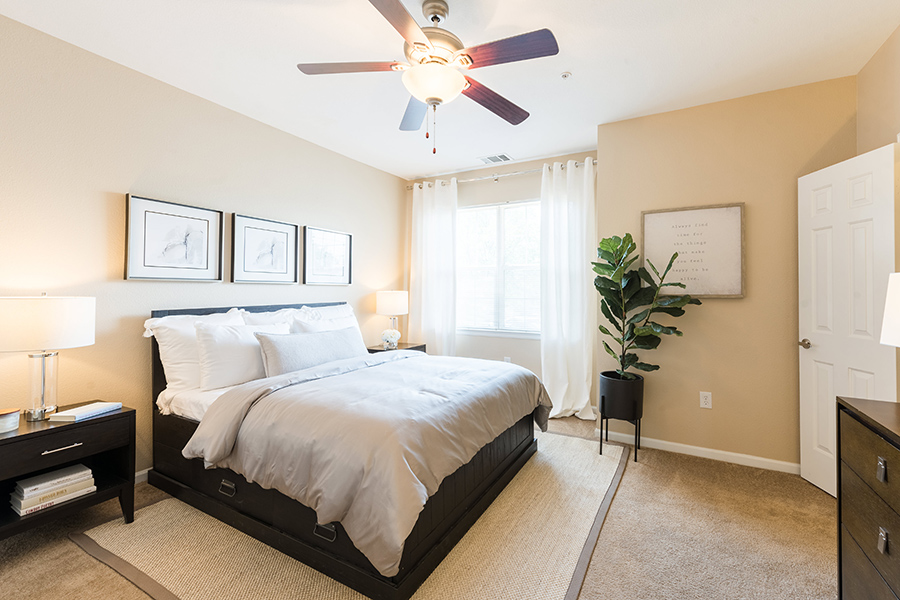 Apartment bedroom with wood floors with rug, bed with plush bedding, and window with natural light.