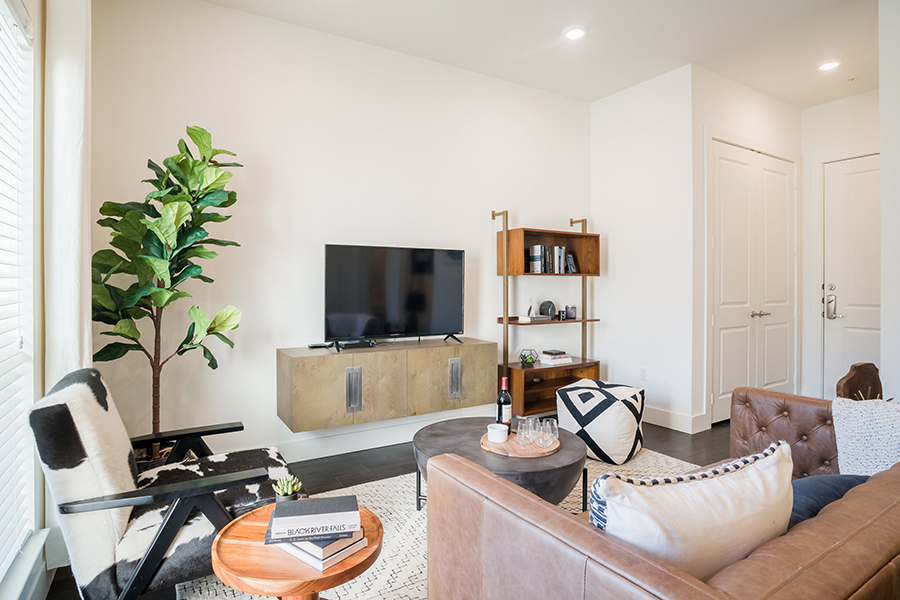Apartment living room with plush rug, comfortable leather furniture, TV, and tall potted plants.