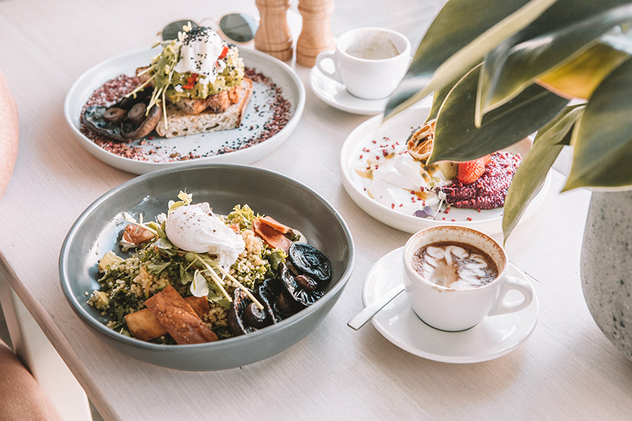 Detail of wood table with potted plant, large rustic plates filled with food, and coffee cups with saucers.