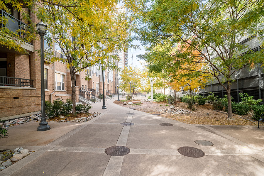 Courtyard with tall lamp posts, winding elliptical paths, and lush landscaping with tall autumnal trees.