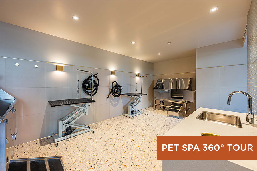 Thumbnail for 360 tour featuring Outdoor lounge with Pet spa facility for pets at Citrus Commons, Sherman Oaks, Los Angeles.