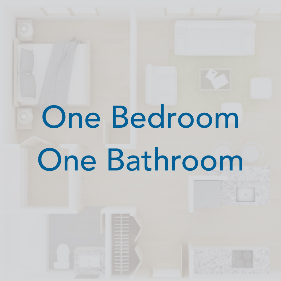 Rendering of the D2 floor plan with 1 bedroom[s] and 1.5 bathroom[s] at IMT Valleyheart